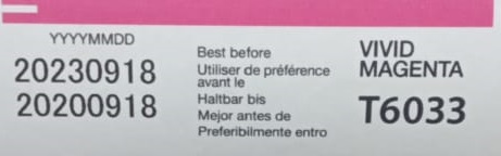 �������� Epson T6033 (C13T603300) ���������